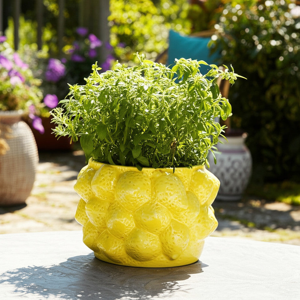 MACETERO LEMONS