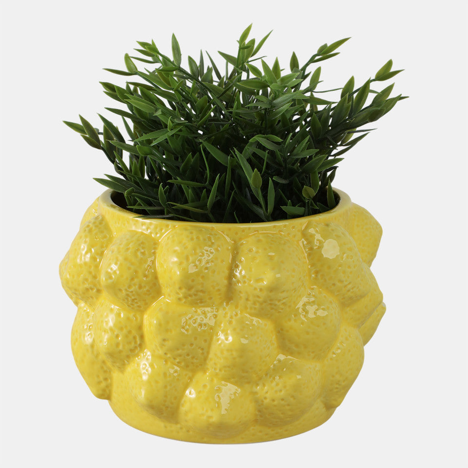 MACETERO LEMONS