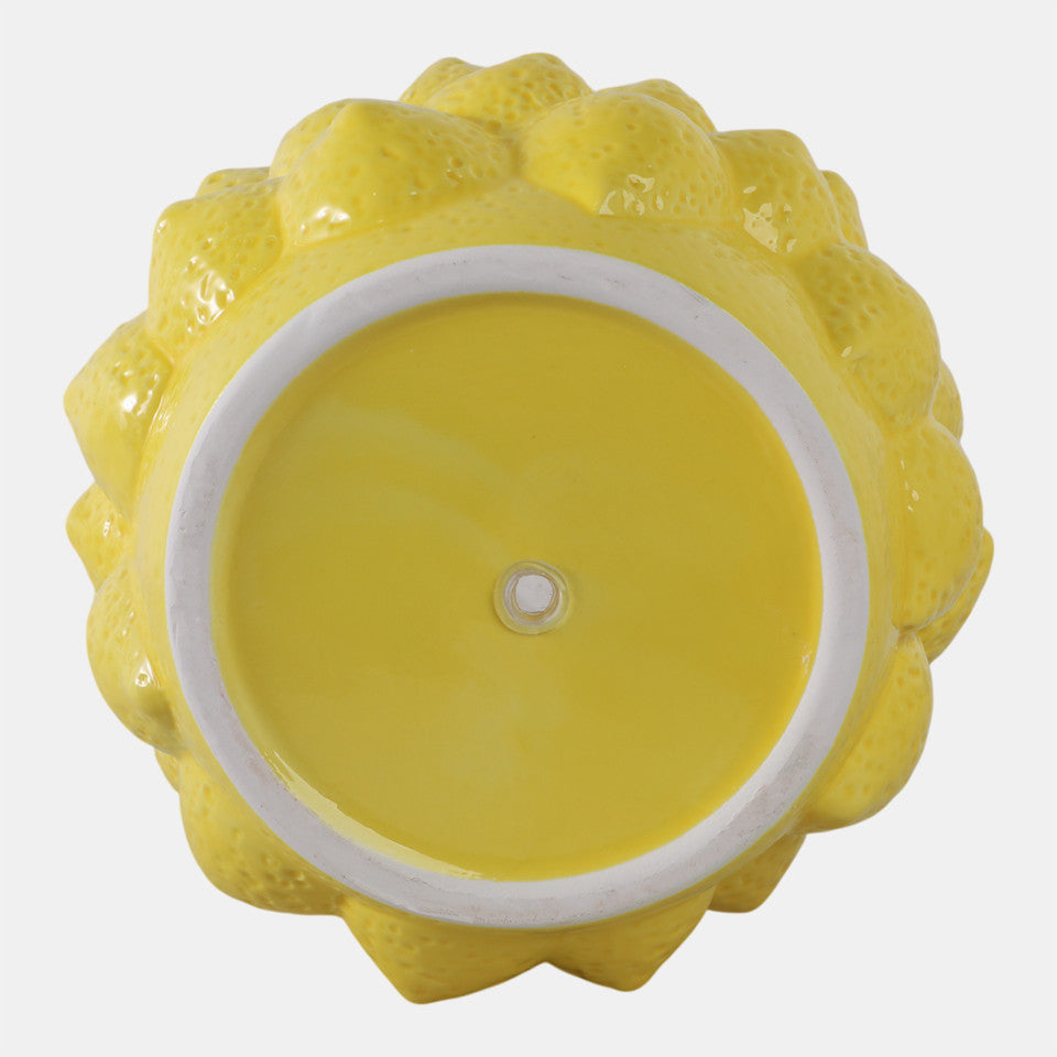 MACETERO LEMONS