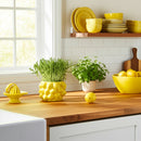 MACETERO LEMONS