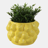 MACETERO LEMONS