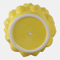 MACETERO LEMONS