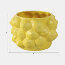 MACETERO LEMONS