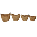 CESTA IRON CRASSIPIES