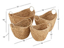 CESTA IRON CRASSIPIES