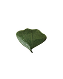 BOWL GINKGO