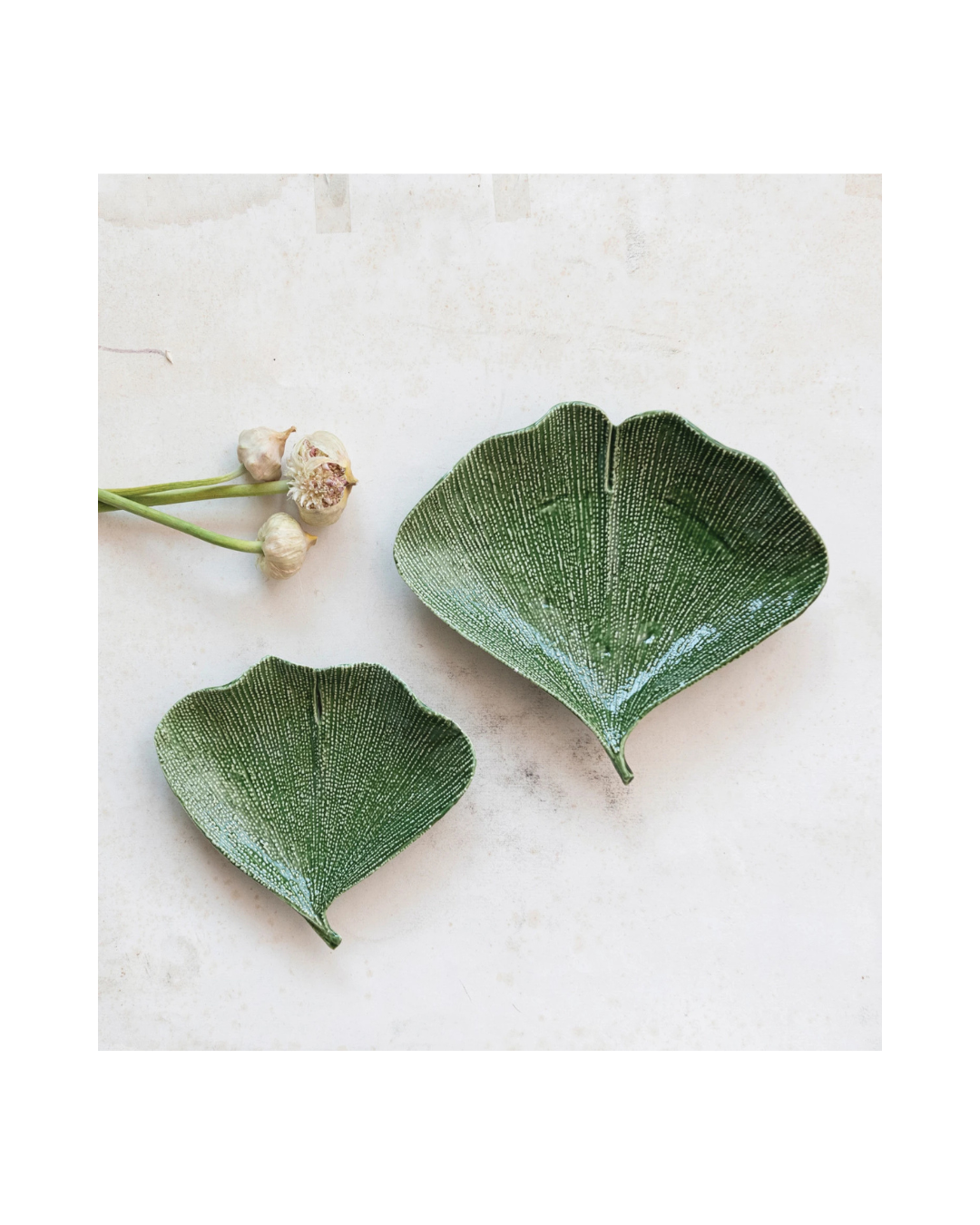 BOWL GINKGO