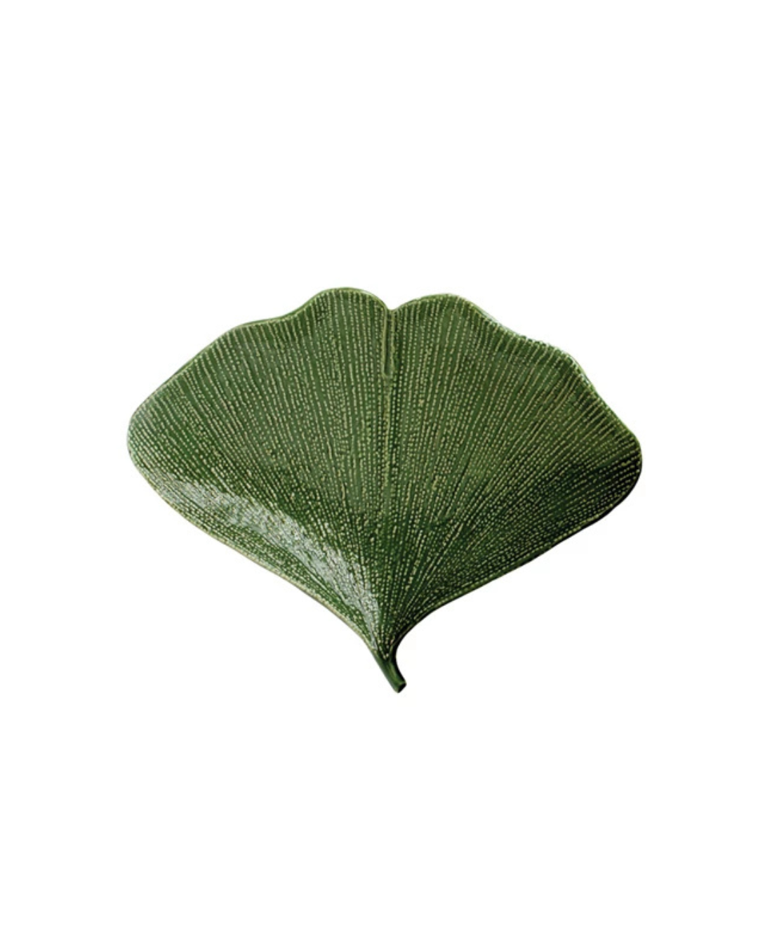 BOWL GINKGO
