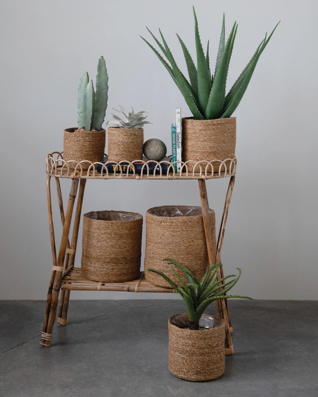 CESTA SEAGRASS