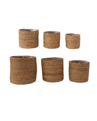CESTA SEAGRASS