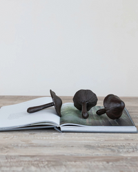MUSHROOM CAST IRON
