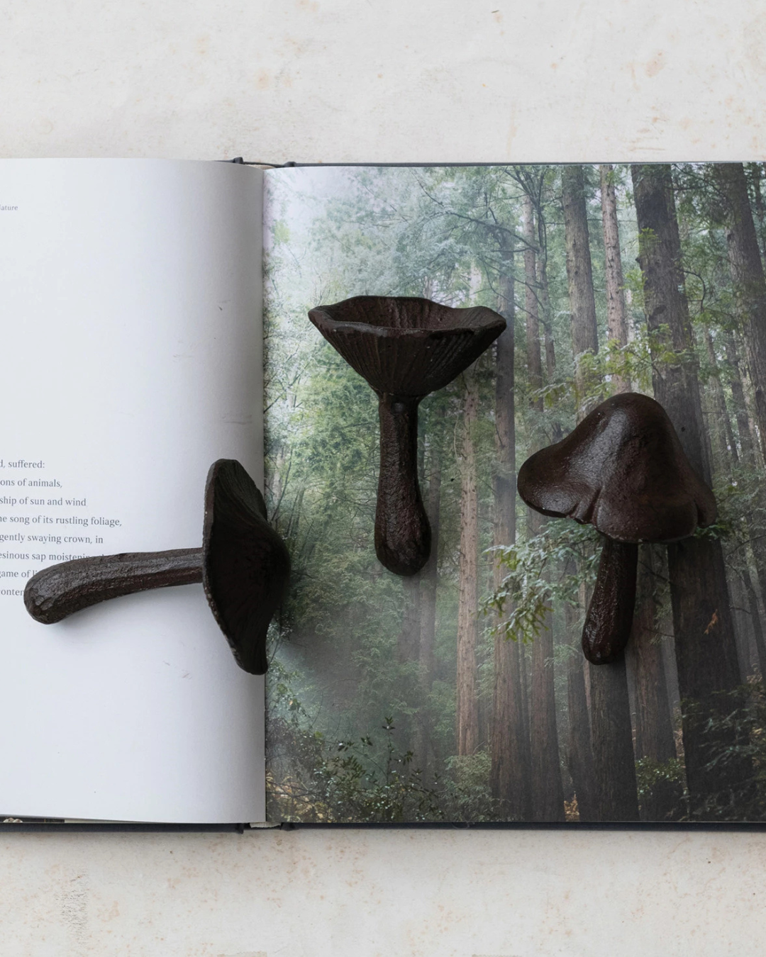 MUSHROOM CAST IRON