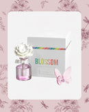 BLUSH GIFT SET