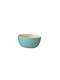 MINI BOWL COLOR