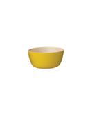 MINI BOWL COLOR
