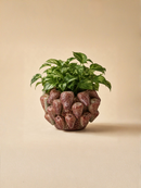 PLANTER/VASE BERRYS