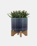 MACETERO BLUE PLANTER
