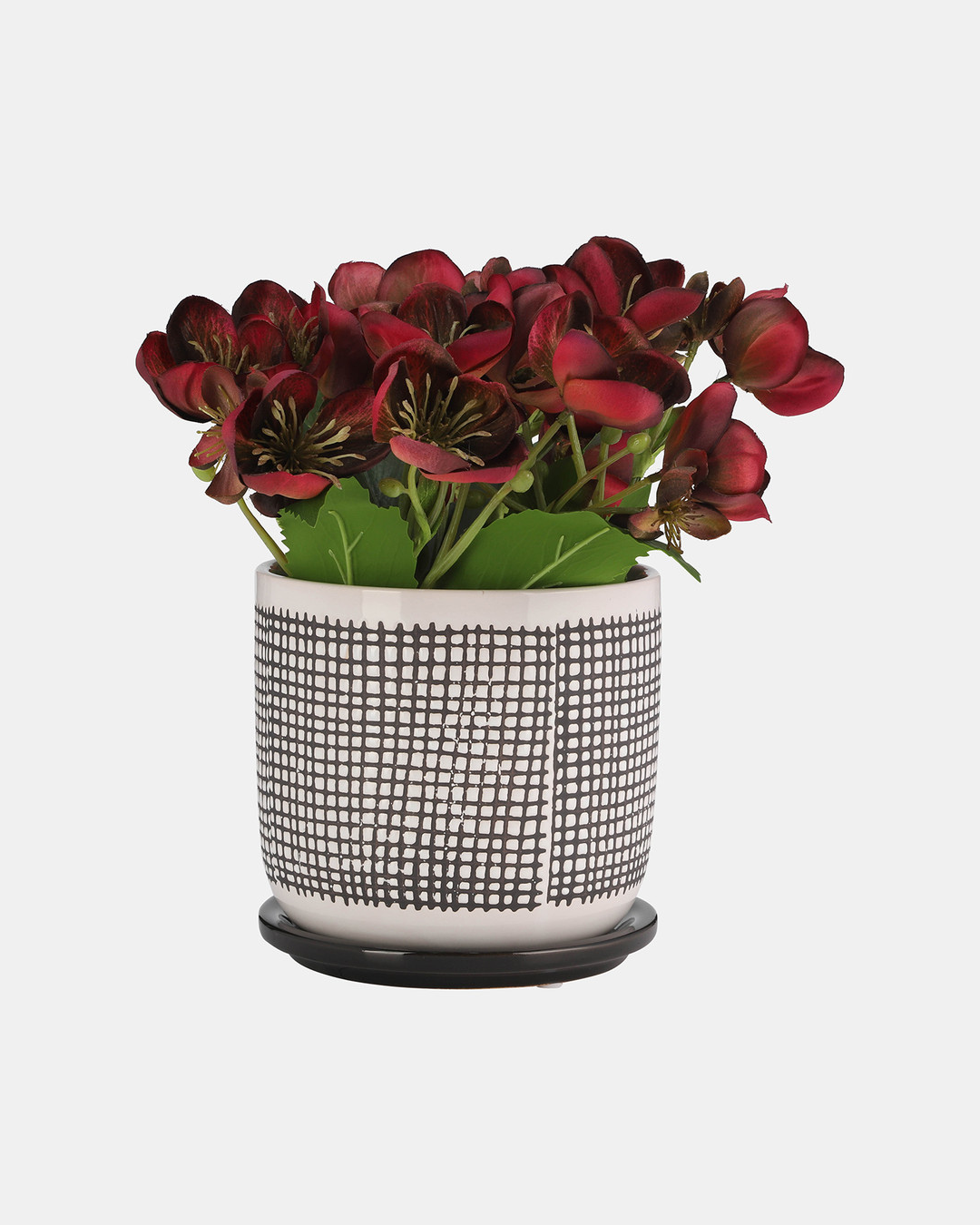 MACETERO W/SAUCER MESH