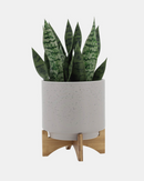 MACETERO WOOD STAND