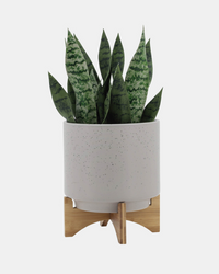 MACETERO WOOD STAND
