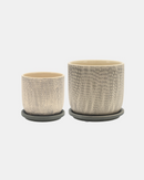 MACETA W/SAUCER GRAY