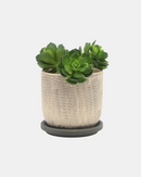 MACETA W/SAUCER GRAY