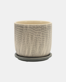 MACETA W/SAUCER GRAY