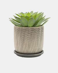 MACETA W/SAUCER GRAY
