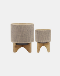 MESH PLANTER