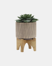 MESH PLANTER