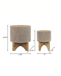 MESH PLANTER