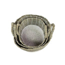 CESTA BICO