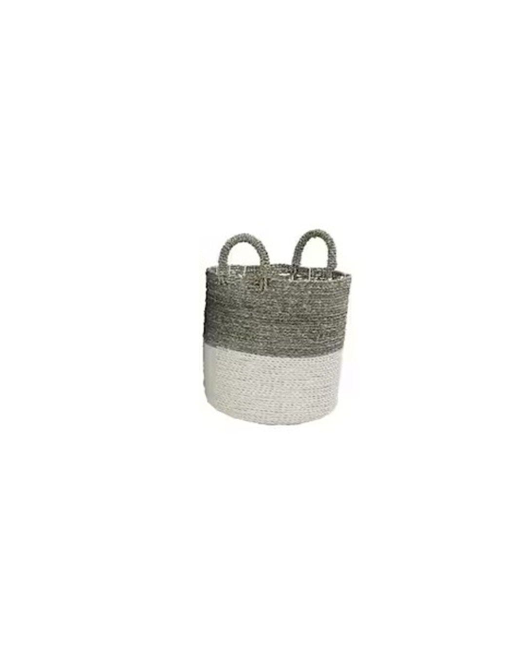 CESTA BICO