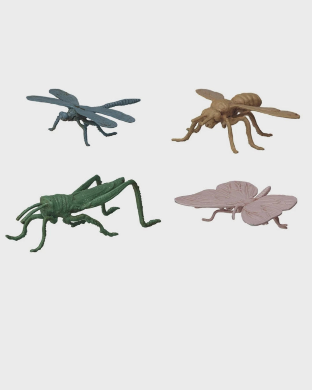 DECO INSECTS VARIOS
